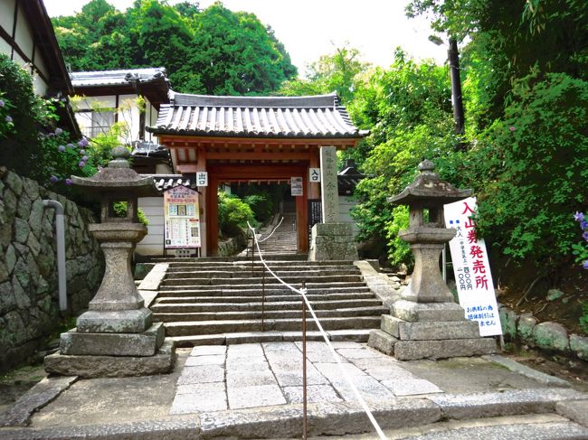 歩く事、一時間２０分ほどで矢田寺に到着