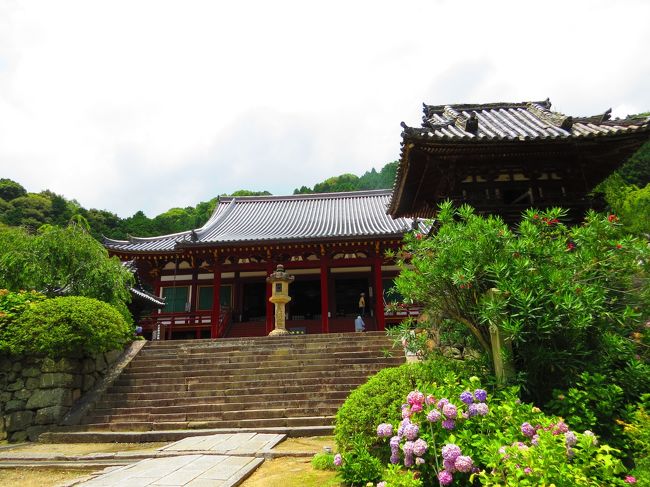 矢田寺・本堂（正式名・金剛山寺）<br /><br />山号　矢田山<br />宗派　高野山真言宗<br />本尊　延命地蔵菩薩　（重要文化財）<br />創建　天武天皇８年（６７９年）<br />開基　智通・天武天皇（勅願）<br />別称　矢田の地蔵さん・アジサイ寺<br />札所等　大和十三仏霊場５番<br />文化財　木造地蔵菩薩像（重要文化財）<br />　　　　木造阿弥陀如来坐像（重要文化財）<br />　　　　本殿・木造に二天王立像２体・梵鐘（県指定文化財）<br /><br />天武天皇８年、智通和尚が七堂伽藍四十八坊を造営し<br />十一面観音菩薩と吉祥天を安置したと言う<br />その後、戦乱により焼失し<br />再建、年月日は？<br />現在は矢田寺南・北僧坊・矢田念仏院・矢田寺大門僧坊、４つを総称して矢田寺と呼ばれている<br /><br />