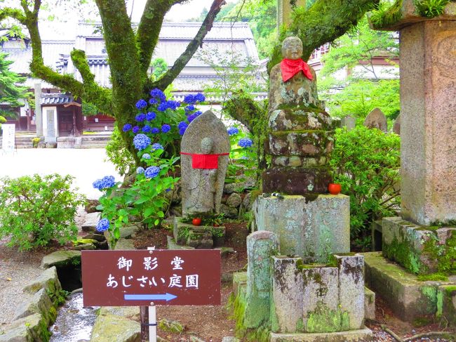 矢田寺とあじさい<br /><br />地図には「矢田寺」と書かれず「金剛山寺」しか載ってないので<br />注意が必要ですよ<br /><br />あじさい園には１００００株・６０種のあじさいが植えられているそうです