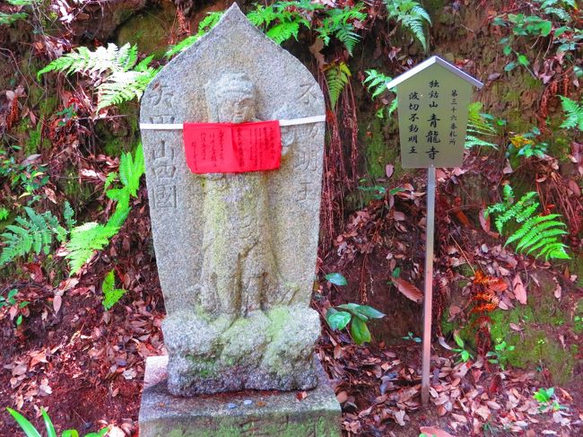 これが石像です<br /><br />矢田寺・御影堂の裏に登り口あり