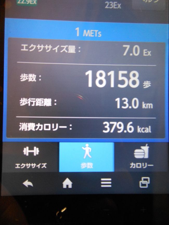 本日の歩行距離　１３，０km<br />      　歩行数　１８１５３歩<br /><br />駅から寺まで往復、最短距離を歩いたのです<br /><br />膝・腰の痛み無し