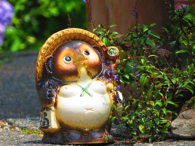 此れで終わりです<br /><br />最後までお付き合い　だんだん<br /><br />６４暑い、一日でした<br />夜はウナギ釣りに行きますか