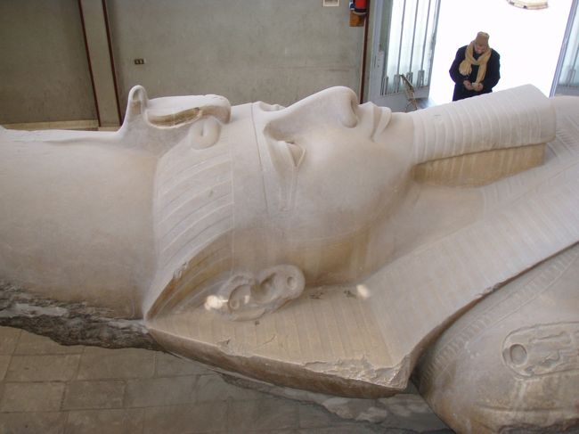 こんな顔をしています。