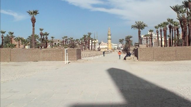 午後はルクソール東岸の観光です。<br />ルクソール神殿前のスフィンクスの参道です。<br />