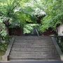 京都で癒されてくる　1日目　法輪寺、天龍寺、常寂光寺、二尊院、大覚寺大沢池、大原魚山園