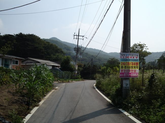 緩い上り坂。<br />今日は荷物が多いので、ちょっときついです。