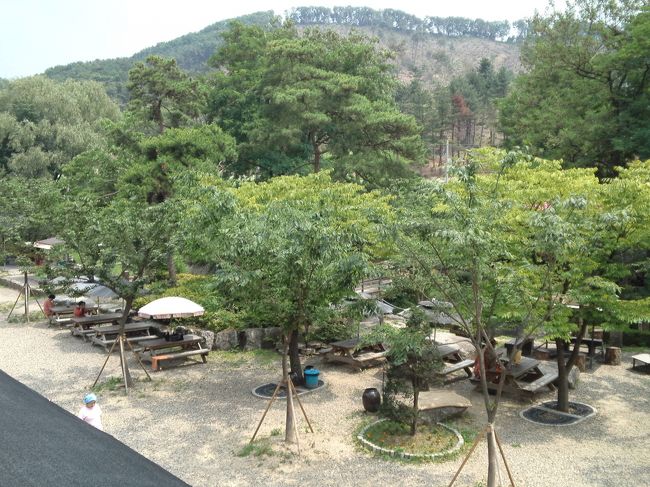 館内2階からの眺め。