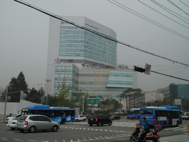 隣はセブランス病院。