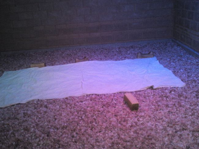 塩の部屋。<br />カッピングで背中がうっ血しているので、石のゴツゴツがものすごく痛いです。<br />痛みに耐えて、それでもうとうとします。