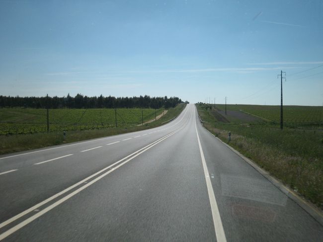 こーんな感じの道を行きます。これなら、私にも運転できそうだ･･･。やっぱり、高速じゃないと楽しいなあ。<br /><br />そのあと、Reguengos de Monsaraz→Monsarazが分からない。調査結果：<br /><br />今日泊まる宿：13:50と14:50だよ。Evora→Reguengos de Monsarazは1日に何本かあるはず。もしくはタクシーね。(テキトー)<br />リスボンの観光案内所：14:14と17:34です。<br />リスボンのバスターミナル：ここじゃ分からないわ。<br />Evoraのバスターミナル：13:00よ。