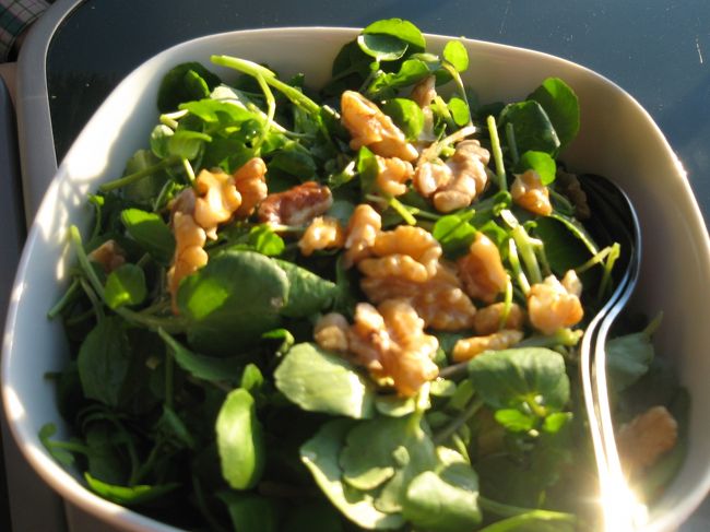 クレソンのサラダ。これ、おいしかった。今日はいつもと違って、色々オーダー出来てうれしいなー。<br /><br />このレストラン、メニューは「ザ・アレンテージョ」というよりは、「いわゆるオシャレカフェ料理、でもやっぱりアレンテージョ風味」という感じで観光客には若干物足りない気も。でも、夕日を見るなら、ここがベストです。