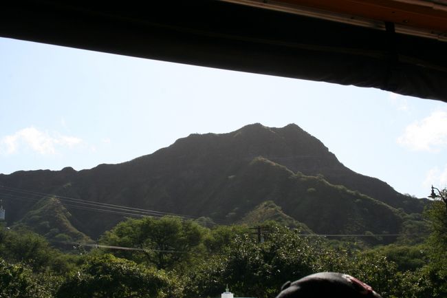 あれが！まぐろのアタマ！！