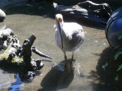 トキの森公園