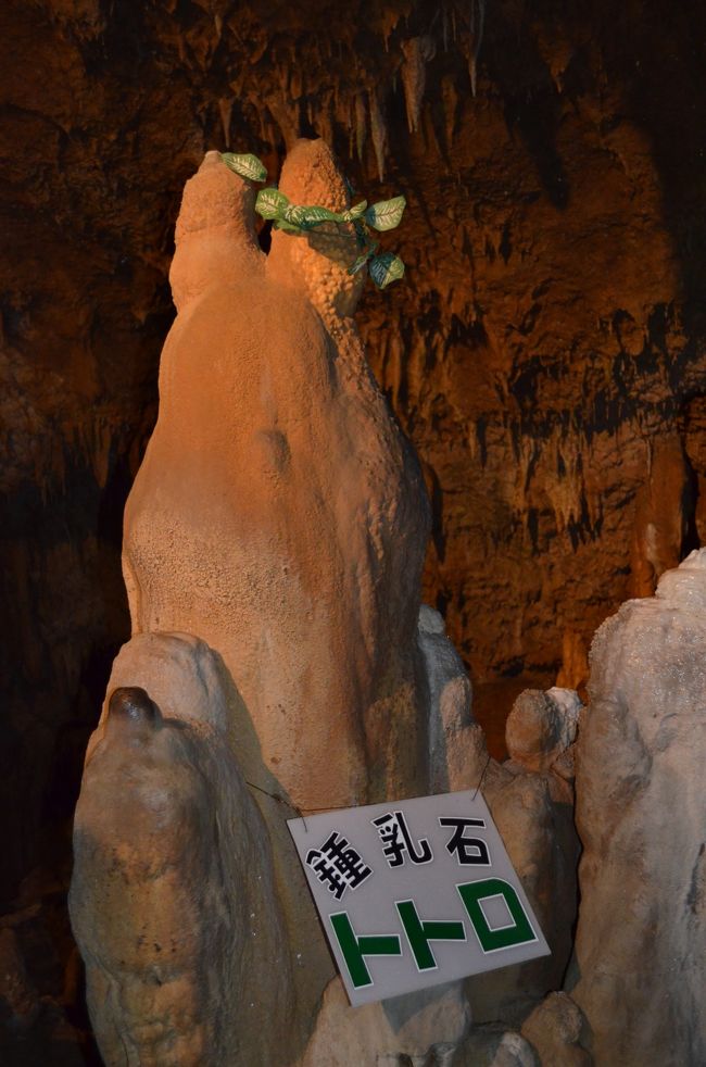 トトロに似てますよね・・・？