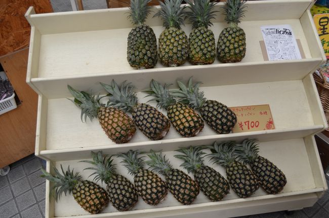 ナカジが土産にパイナップルを探していました。ちなみにここでは買いませんでした。