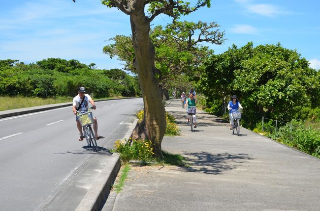 真ん中は私です。実は人生２度目の自転車。結構上手に乗れてるでしょ。３０年前は250CCのバイク乗ってました。