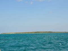 嘉弥真島（カヤマジマ）です。
小浜島に寄り添って浮かんでいる島です。
うさぎの島だそうです。
かなり、いるらしい。