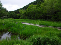 園内はそこそこ広く、水生植物園というだけあり、湿原のような場所もあった。