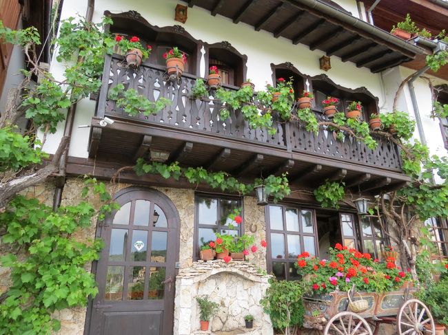 ホテルへの近道には、ゼラニュウムで綺麗に飾られた家がありました。