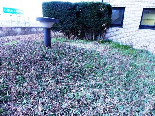 日本の旅 関東を歩く 埼玉県行田市さきたま古墳公園の埼玉古墳群(さきたまこふんぐん)、石田堤(いしだつつみ)、新倉(にいくら)パーキングエリア周辺