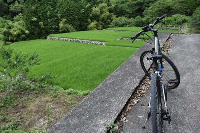     GO           u2026 2014.07.06 u003d4.  (    )  