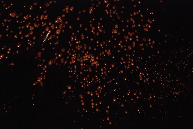 数え切れないほどのコムローイはみるみる空高く舞い上がり、夜空は暖かな光の星で埋め尽くされたようになります。