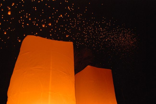 漆黒の空に柔らかに輝く天の川が流れる中、新しいコムローイが次々と夜空に放たれていきます。