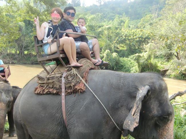 象さんショーの後は象トレッキング。子供も一緒に大丈夫だからと言われて乗りましたが、坂道や川の中を進んだりで結構揺れる。。おんぶ紐して乗る必要ありでした。<br />ちなみに後半里山を進む中、あちらこちらにバナナ購入処があり、断らないと際限なくゾウの餌としてバナナを買わされます。。