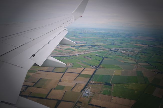 シンガポール発、シドニー経由のカンタスでクライストチャーチを目指します。バシネットもしっかり確保してもらえたので、息子もしっかり寝てくれて快適なフライトでした。