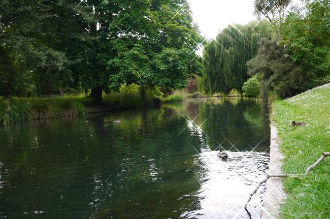 そのままボタニックガーデンを散策。これっといった見所があるわけではないけど、ゆっくり散歩するにはもってこいの公園です。