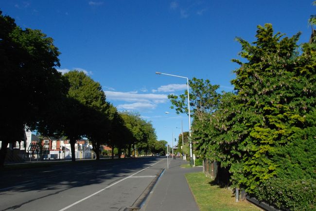 初日の雨混じりの曇り空から一転、翌日は気持ちの良い青空が広がっていました。ニュージーランドの空は本当に青い。