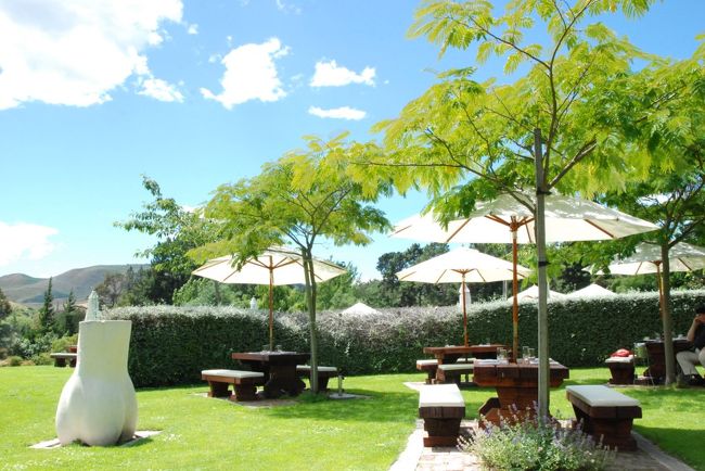 そのままランチということで併設のレストランへ。最高の天気の中屋外のテーブルで。本当に気持ちの良い場所です。そりゃ旨いワインも出来るはずです。