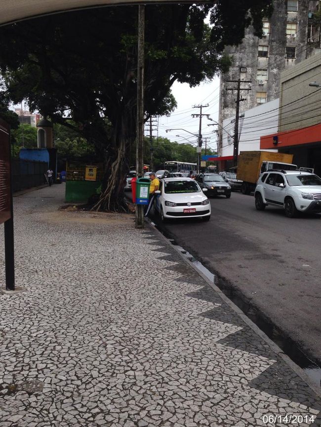 道中。なぜか金魚のショーケースを売る出店がやたらいっぱいある。