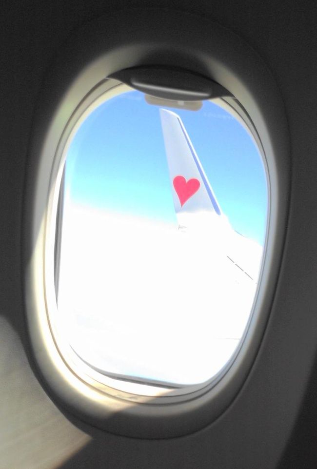 女子旅の極意！<br />旅行はプランから盛り上がるべし！！<br /><br />今回の旅行が決まったのは3月。<br />フラ仲間とTONY先生の主催する沖縄ムーンビーチルアウに<br />参加することになった。<br /><br />大体の連絡はLINEで出来るけどやっぱり直接<br />会って色々話したい♪<br />毎月集合し行きたいところやホテル選びなど<br />話はつきない。<br /><br />夏休み前だから飛行機は楽勝だろうと思いきや<br />すでに満席が・・・<br />沖縄では大きいイベントのようで2万人も来場するとか。<br />ホテルもムーンビーチ周辺のいいホテルは満室。<br />考えが甘かった(--;)<br /><br />それでも何とかホテル、飛行機をおさえあとは出発を<br />待つばかり・・。<br /><br />出発日は前夜祭に参加するため夕方に着くように手配。<br />いよいよ出発♪<br />すぐに参加できるようリゾートワンピで！<br />なんだかHawaiiに行く気分だ(笑)<br /><br />飛行機はスカイマーク。<br />横を見たらなんとハートマーク♡<br />一気にテンションUP↗