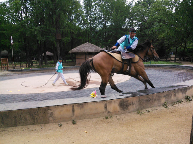 かなりアクロバティックで迫力満点です！