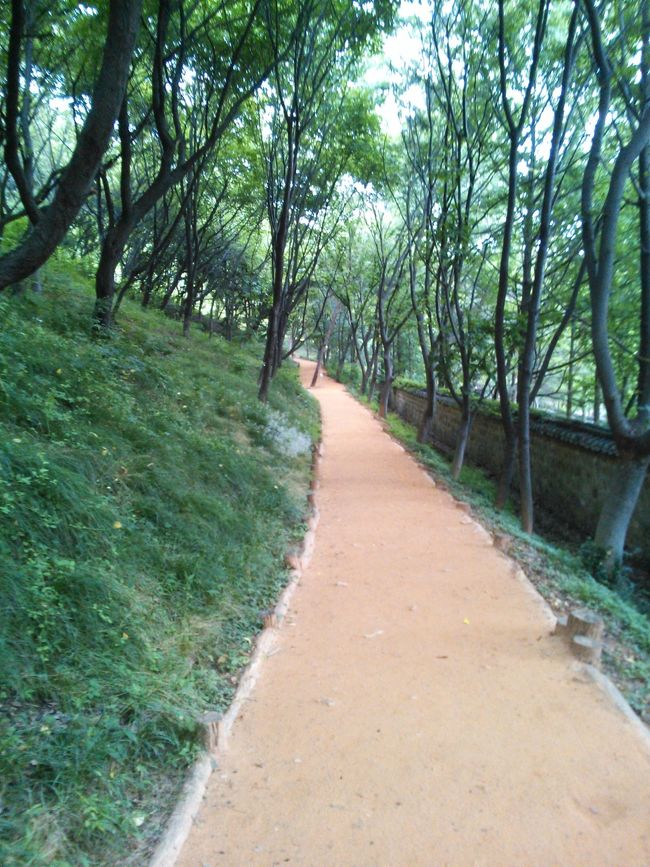 黄土の小道を進んでいくと…<br />