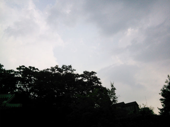 ちなみにまだ降ってませんよ〜