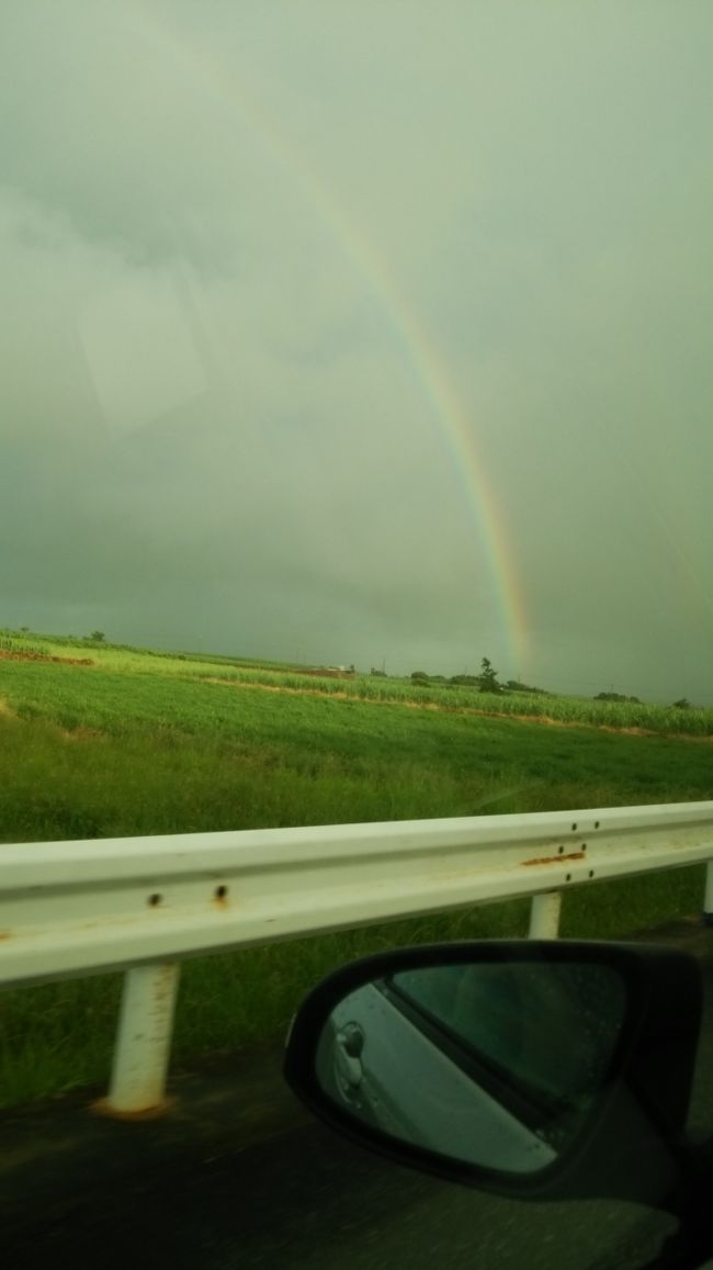 雨も軽くふったりやんだり。<br />虹が見えました！<br /><br />地面からはえてるような虹は初めて見ました！<br />すごい〜！