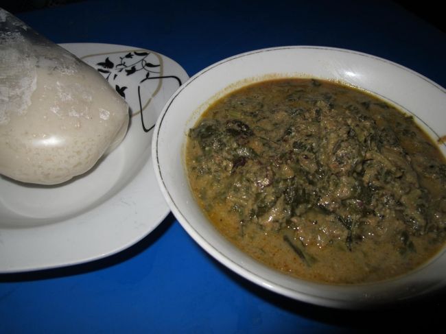 肉煮込み料理とＴＺ。<br />肉煮込み料理は許容を少し超える甘さ。ご飯ならまだしも、ビールには合わず。<br />料理にＴＺが付いていたので初体験。<br /><br />＊夜、トイレに蚊が一匹いたので殺虫スプレーを十分振り撒いて寝た。<br />　翌朝見たら200匹ほど死んでいた！ 夜中にトイレの窓から沢山侵入してきたのかな。<br /><br />＊明日は、ブルキナファソの首都ワガドゥグへ移動します。<br />