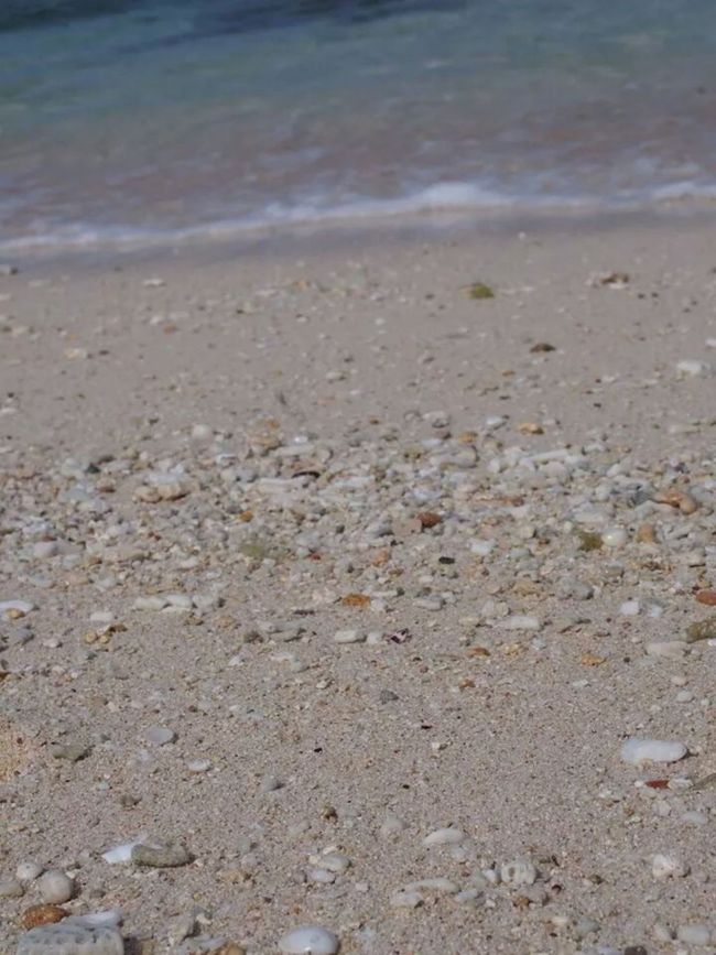 本当に宮古はいいところ。<br />本当にいいところ。<br />発熱38.5度。あれ。笑