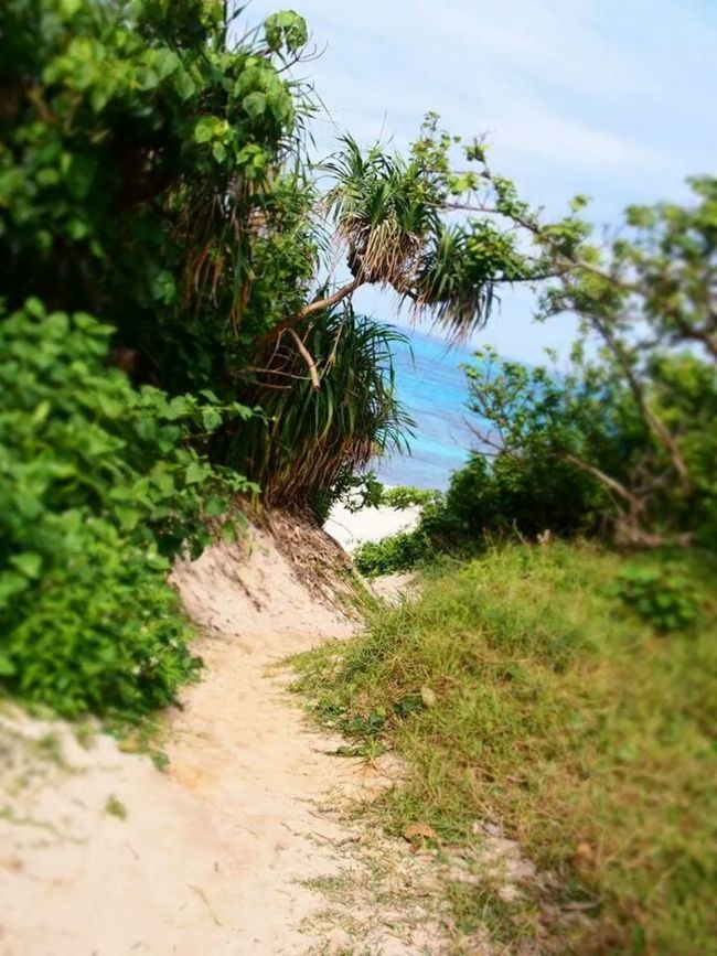 <br />沖縄って何回行ってもほんと飽きない。<br />そこが沖縄のいいところ。<br />どんな良い海外よりも、沖縄行きたくなっちゃうんだよね〜。