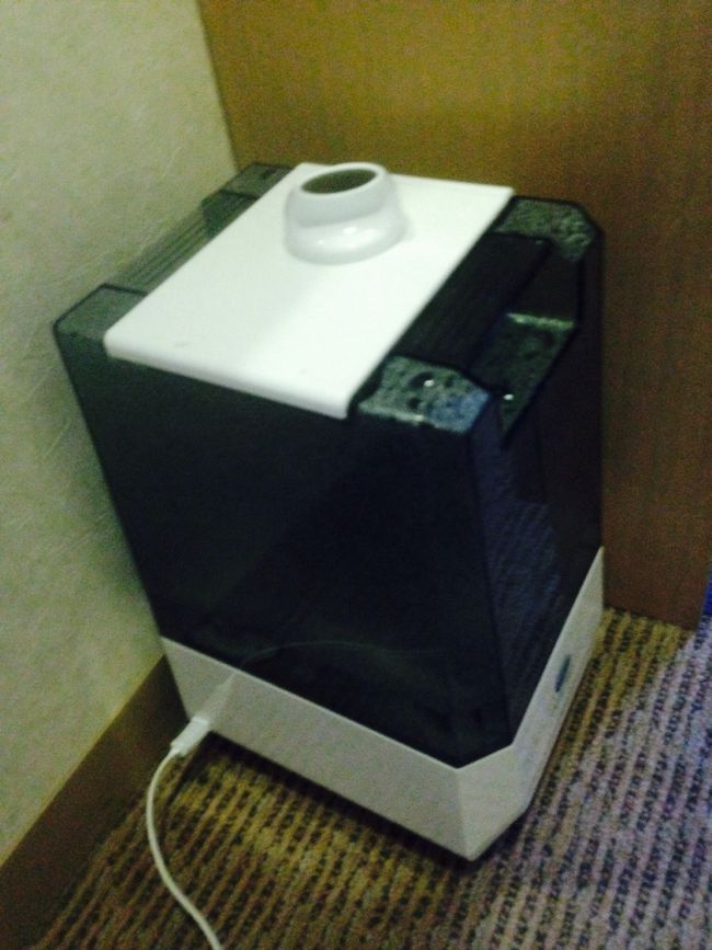 ルートイングランティア石垣の部屋です。<br />この季節になぜか加湿器？？<br />ベッドまで湿っっぽくて<br />これは減点だなあ<br />３人でメチャ部屋狭いし<br />でもお風呂が大浴場なのでうれしいですよ