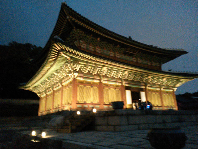 ライトアップされてとても幻想的です！<br /><br />昼間も来たことありますが、まるで別世界ですよ〜