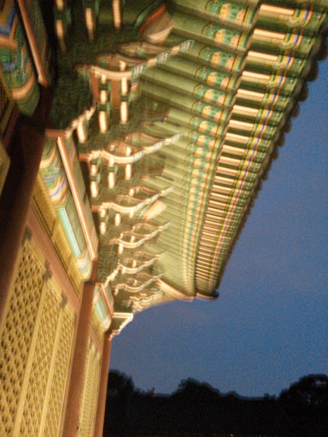 夜空との素敵なコントラスト☆<br /><br />…とこのあと、ついに雨が(>_<)雨合羽が配られて…<br /><br />残念ながら雨がひどく、この先写真があまり上手に撮れませんでした(>_<)<br /><br />