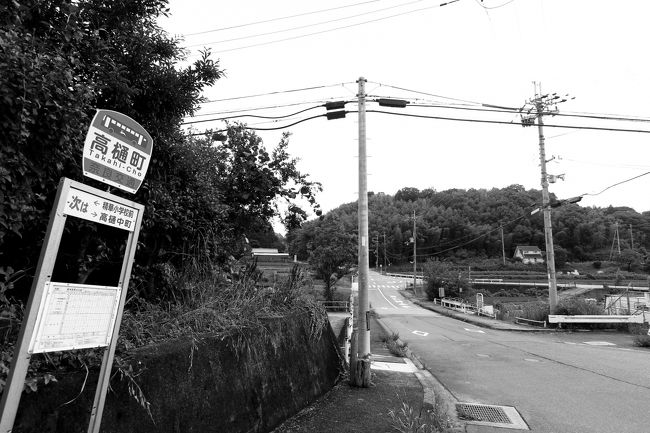 辿り着いた静かな世界。