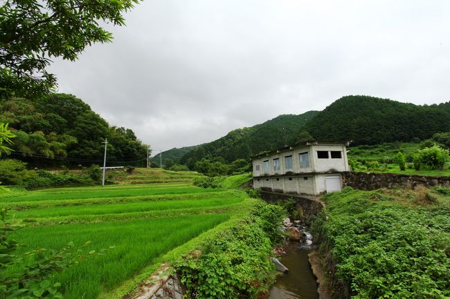 落ち着いた景観