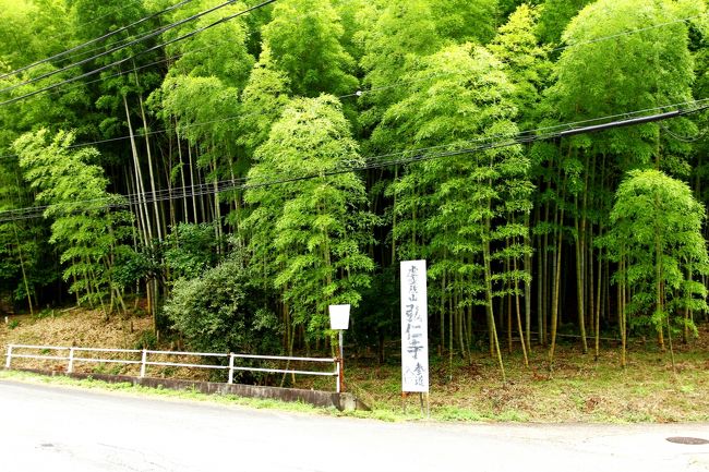 バス停から300メートルも歩くと案内板が教えてくれる。