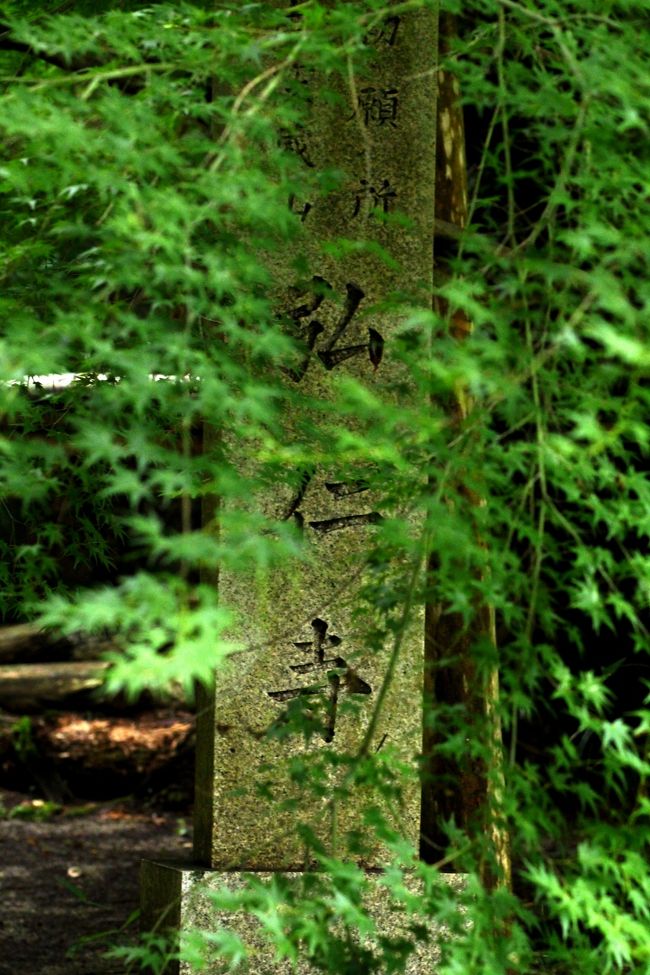 青紅葉が語りかけてくれました。