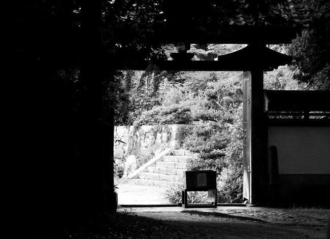 山門が見えた。<br />来たかった衝動にかられて参りました。<br />と云う衝動が湧き上がっていた。