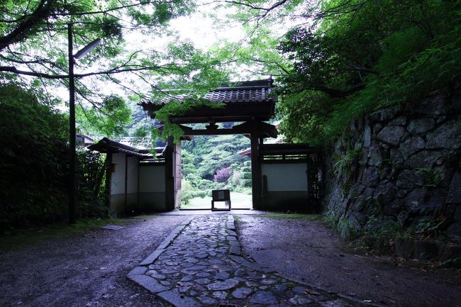 音が無いわけではない。<br />鶯が囀りを奏でてくれて嬉しかった。